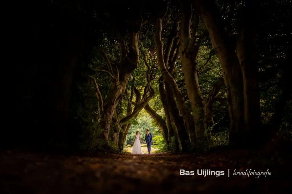 een bruid en een b bruidegom die onder bomen in het bos door lopen