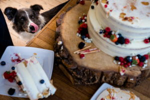Foto van een hond die met zijn tong uit zijn mond naar een bruidstaart staat te kijken