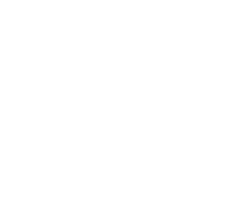 Logo in het wit van Bruidsfoto Award met als toevoeging het 20-jarig bestaan.